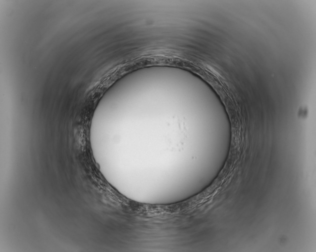X0000090710774200707200950
