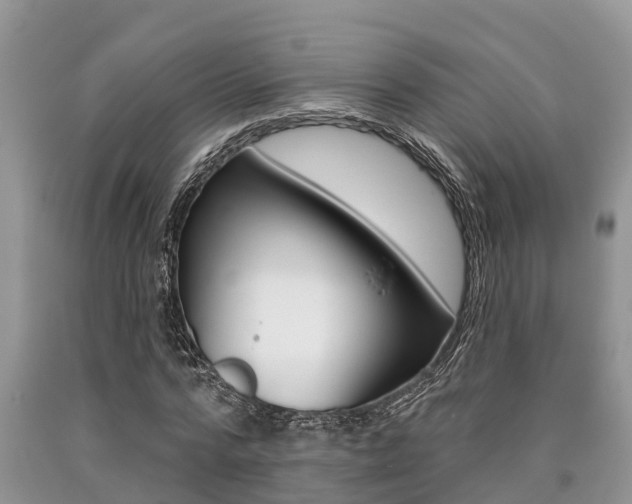 X0000090710776200707200950