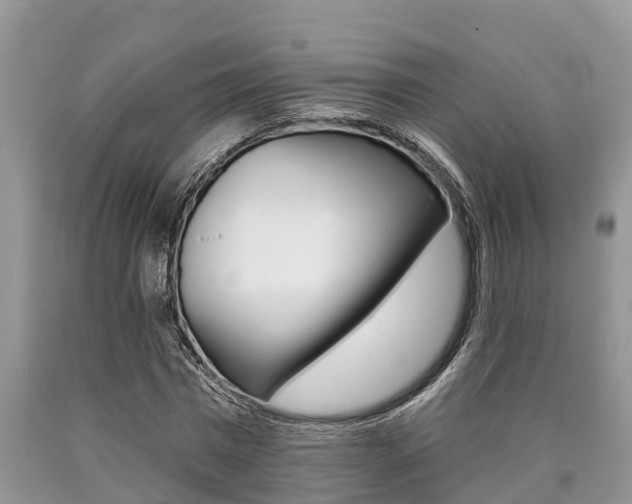 X0000090710777200707200950
