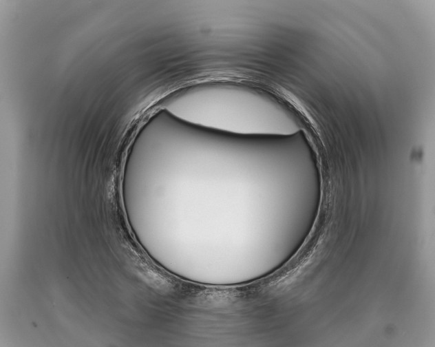 X0000090710778200707200950