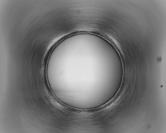 X0000090710779200707200950