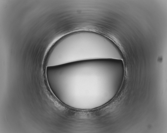 X0000090710780200707200950