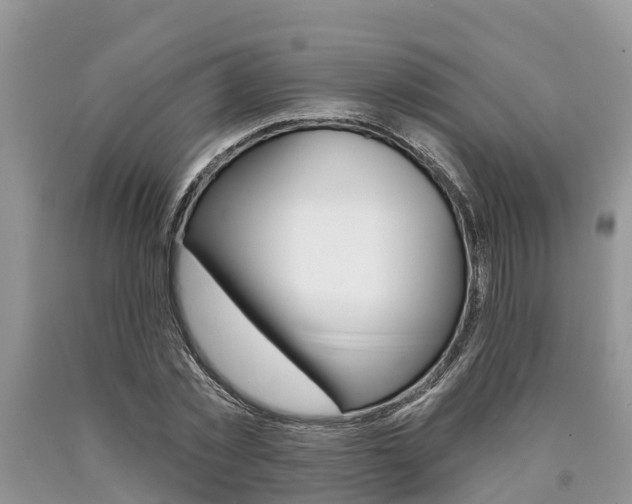 X0000090710781200707200950