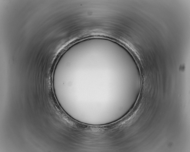 X0000090710782200707200950