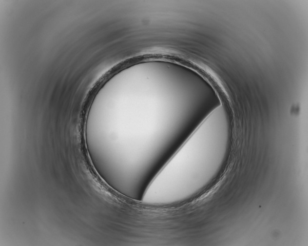 X0000090710783200707200950