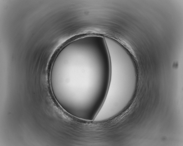 X0000090710784200707200950