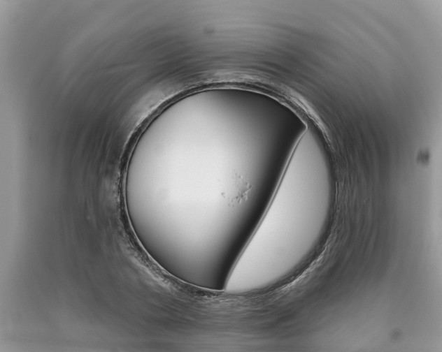 X0000090710786200707200950