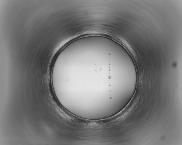 X0000090710787200707200950