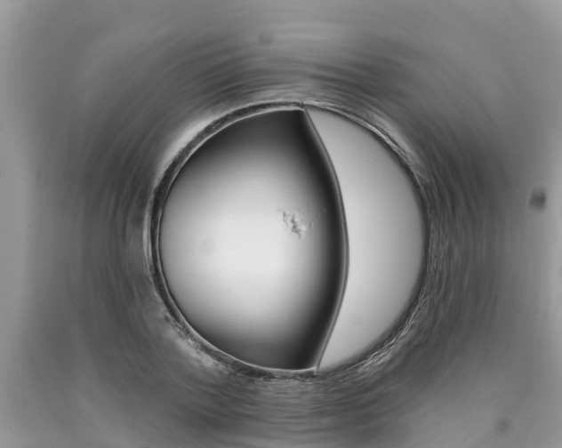 X0000090710788200707200950