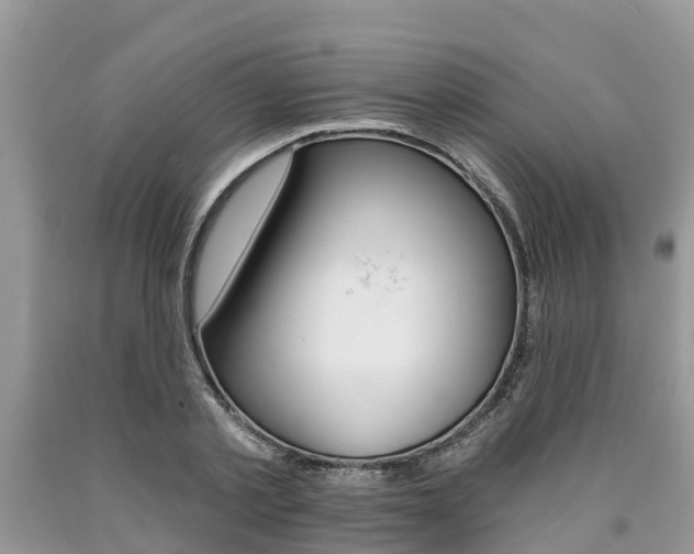 X0000090710789200707200950