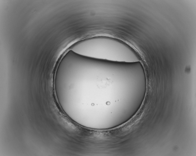 X0000090710790200707200950