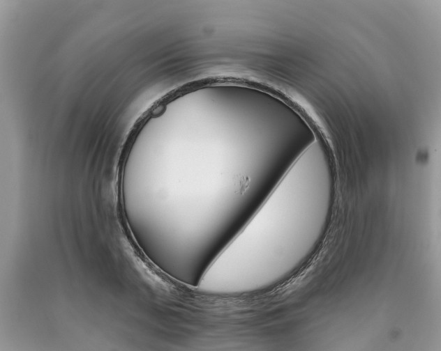 X0000090710791200707200950
