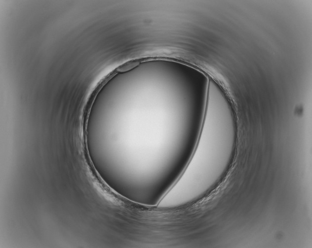 X0000090710792200707200950