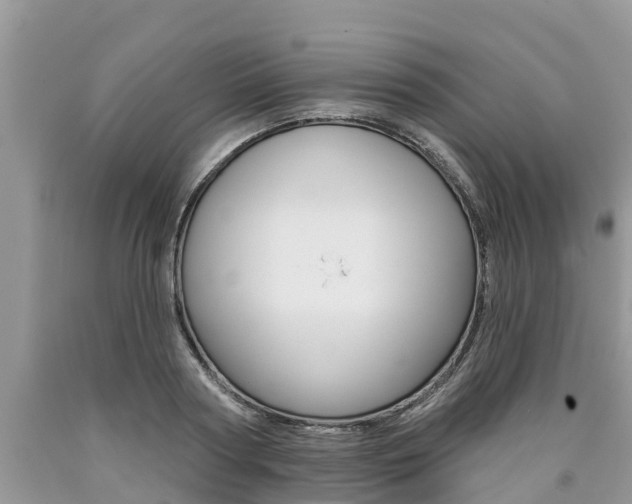 X0000090710794200707200950