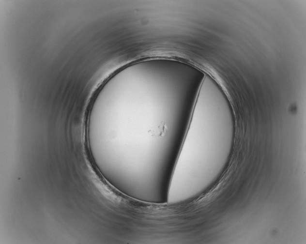X0000090710795200707200950