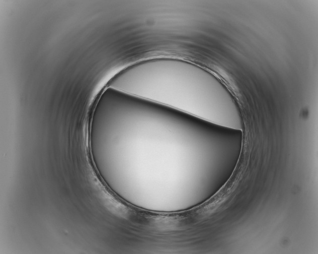 X0000090710796200707200950