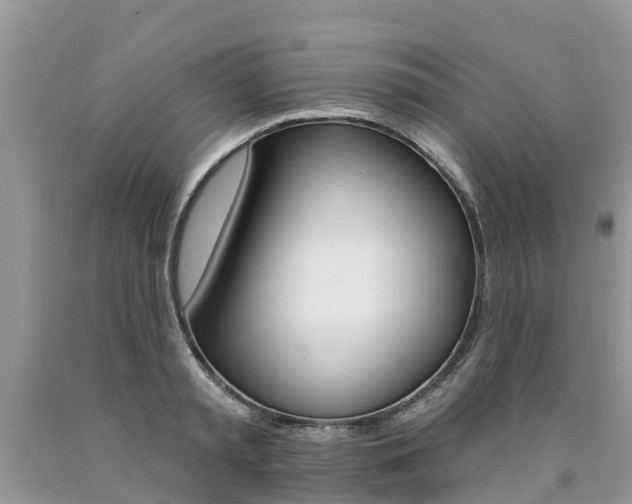 X0000090710797200707200950