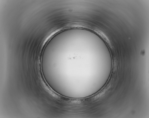 X0000090710798200707200950