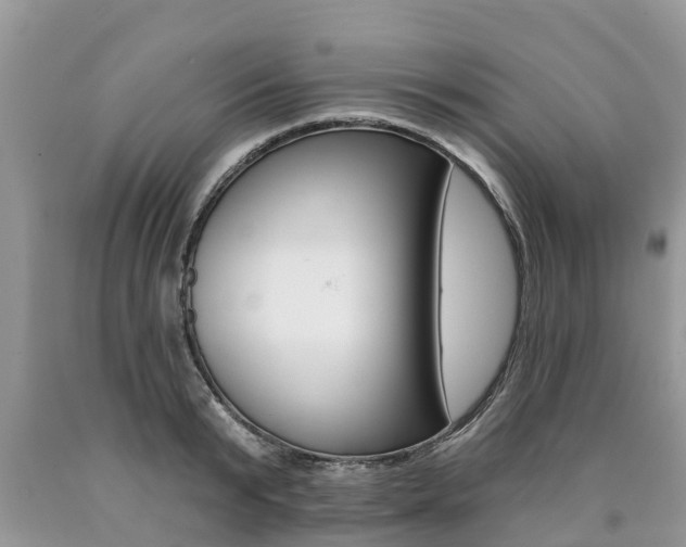 X0000090710799200707200950