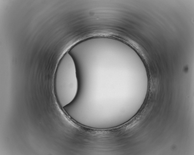 X0000090710802200707200950