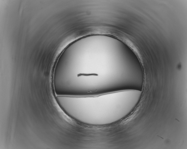 X0000090710803200707200950