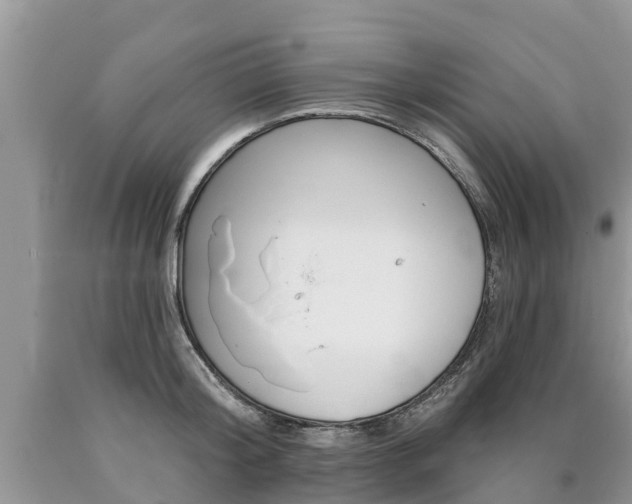 X0000090710804200707200950