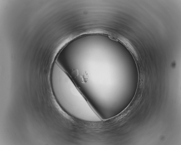 X0000090710805200707200950