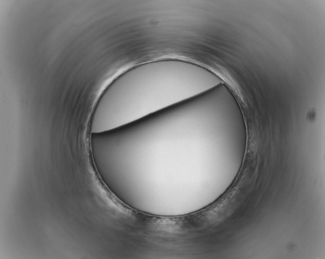 X0000090710806200707200950