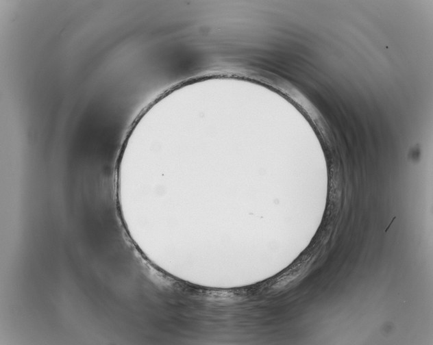 X0000090710807200707200950