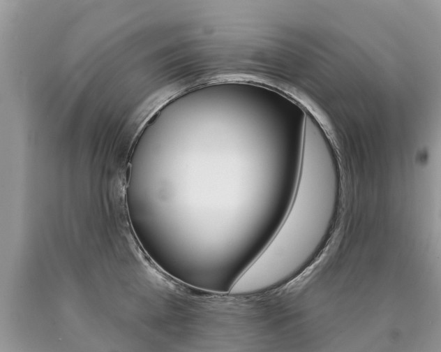 X0000090710809200707200950