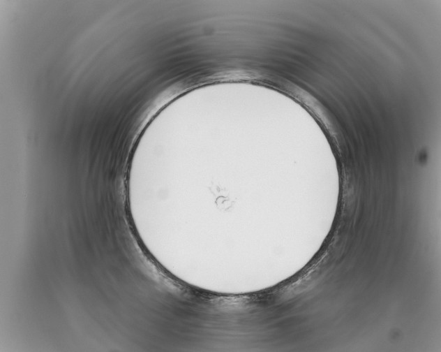 X0000090710810200707200950