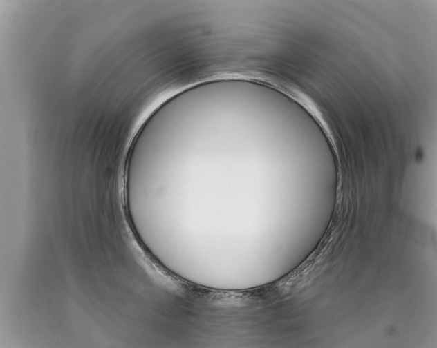X0000090710811200707200950
