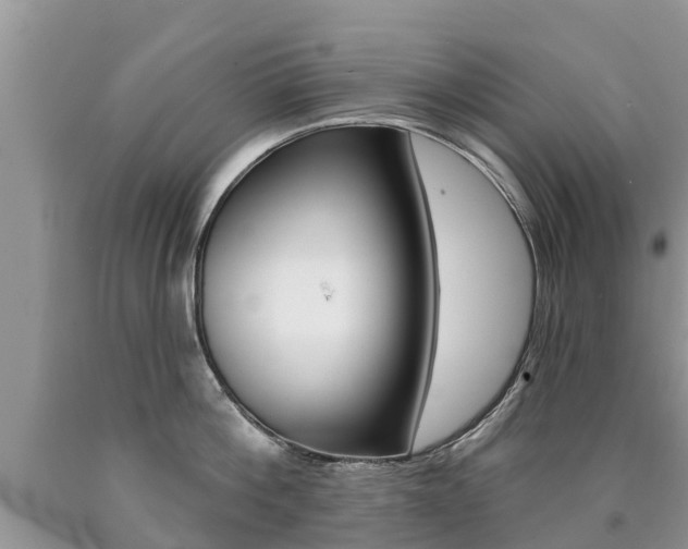 X0000090710812200707200950
