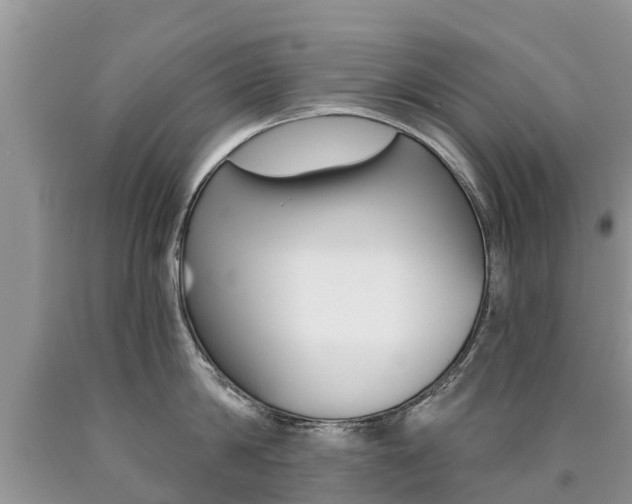 X0000090710814200707200950