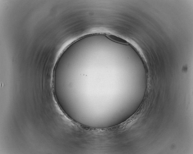 X0000090710815200707200950