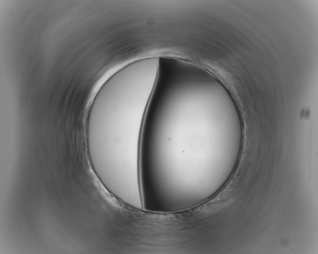 X0000090710816200707200950