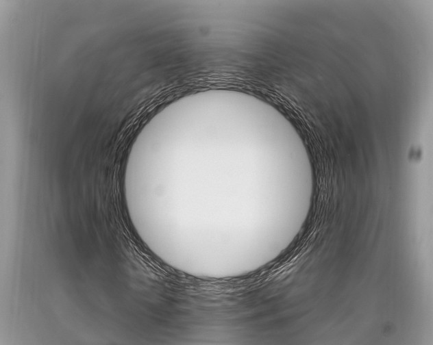 X0000090710818200707200949