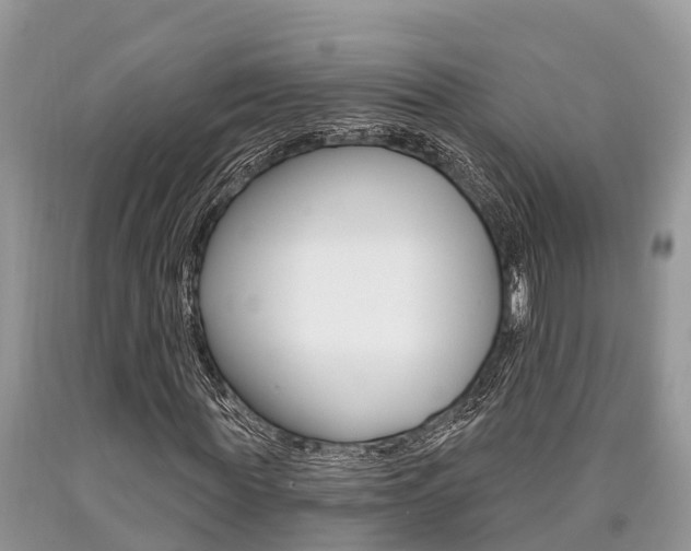 X0000090710819200707200949