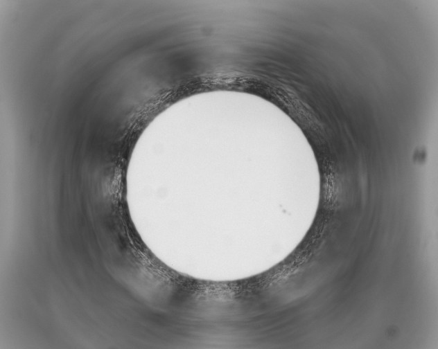 X0000090710820200707200949