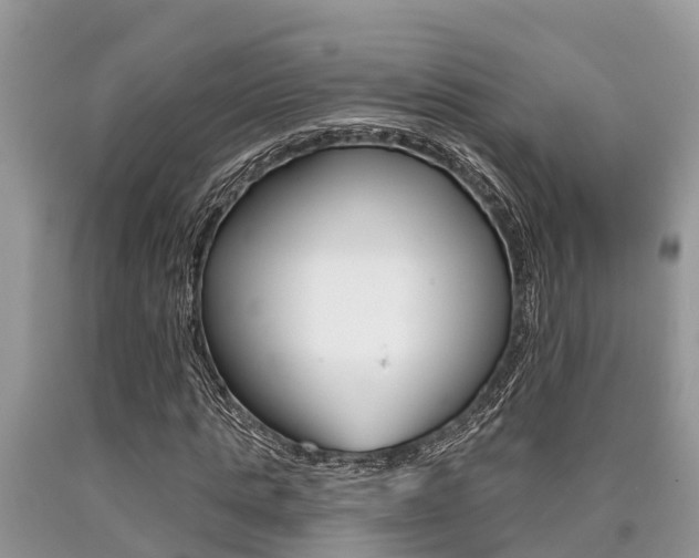 X0000090710821200707200949