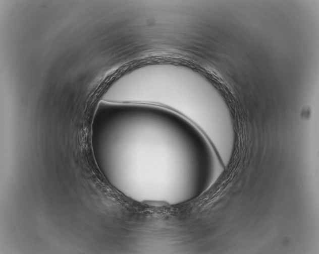 X0000090710822200707200949