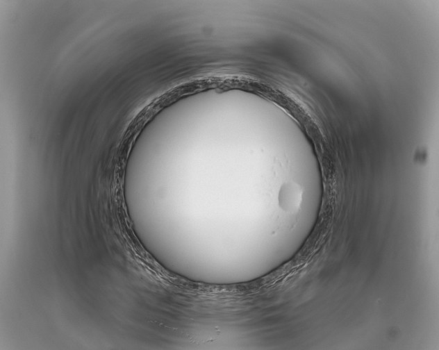 X0000090710823200707200949