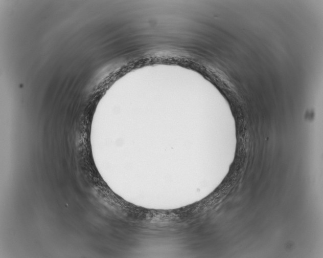 X0000090710824200707200949