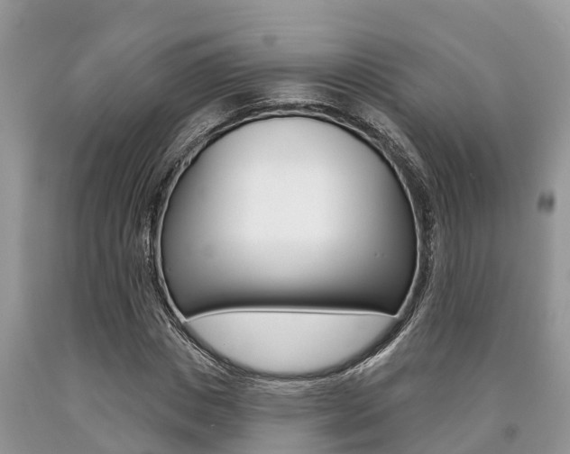 X0000090710825200707200949