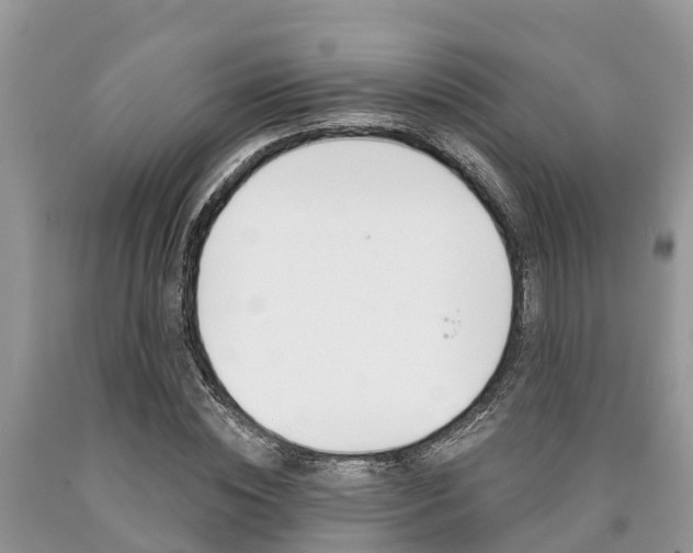 X0000090710828200707200949