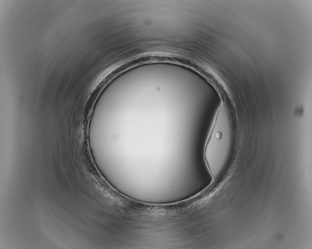 X0000090710829200707200949