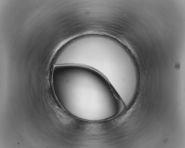 X0000090710830200707200949