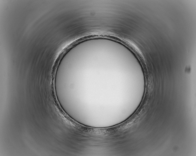 X0000090710831200707200949