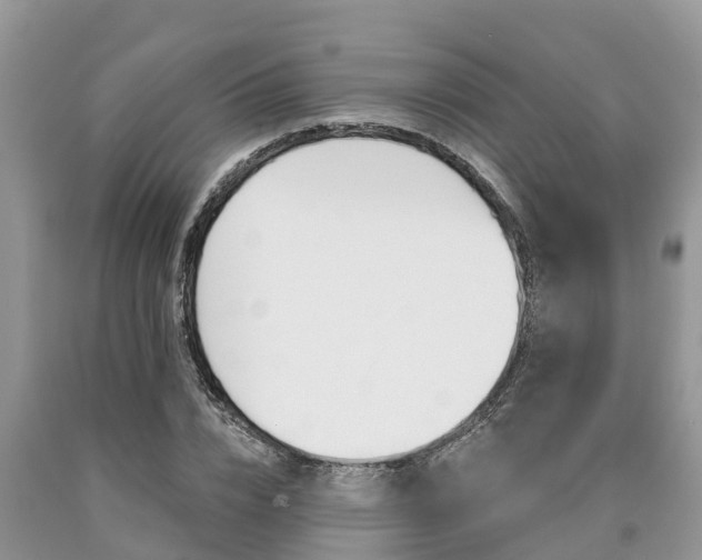 X0000090710832200707200949