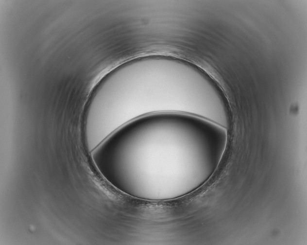 X0000090710834200707200949